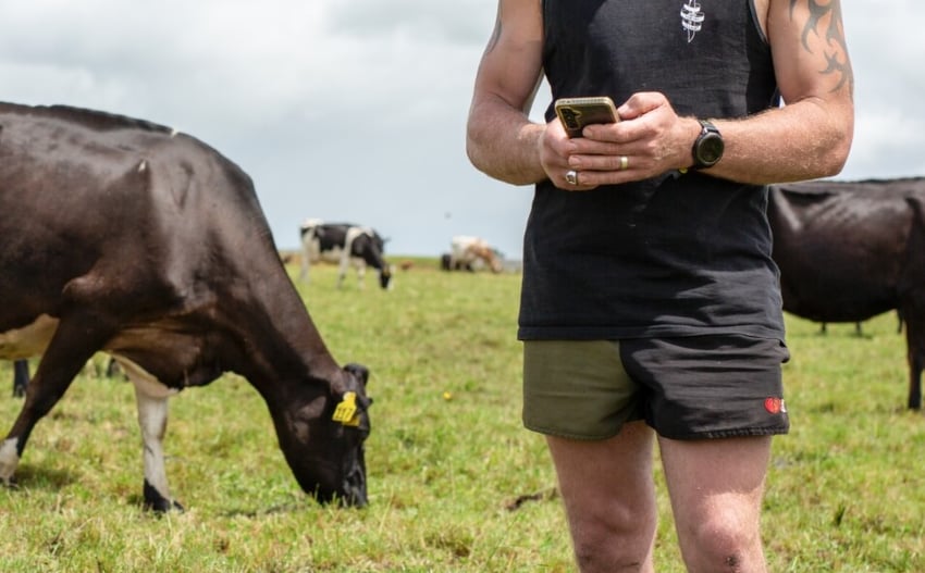 Calving_Early_Mating
