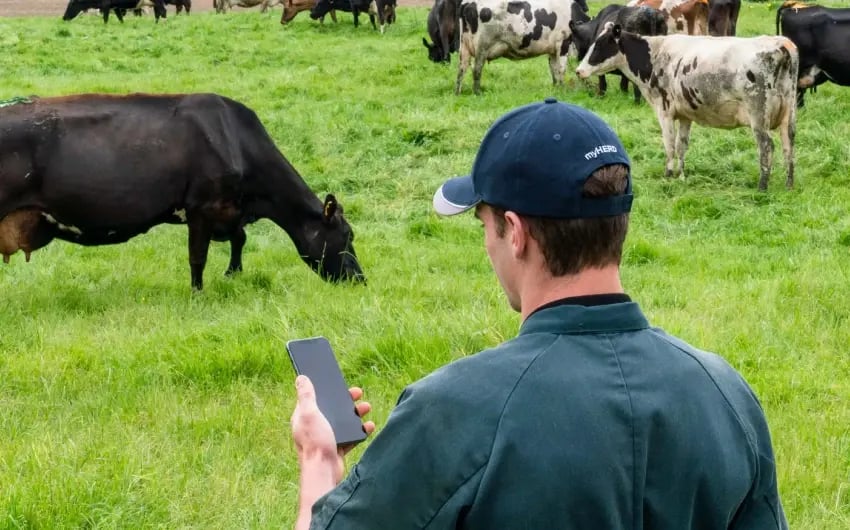 herd-reduction_850x530