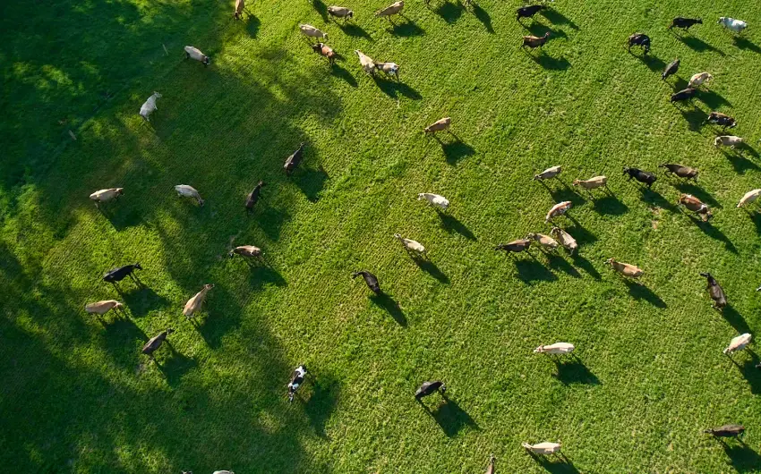 Farm Source Data Connection